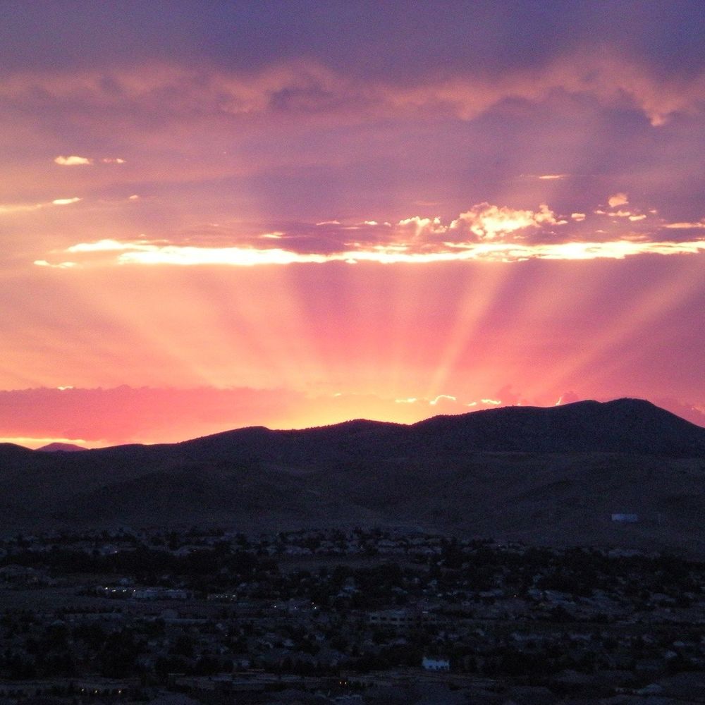 Meet your Posher, Marsha